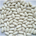 White Kidney Beans